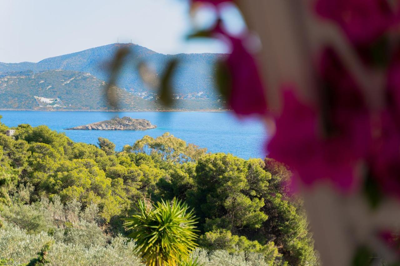 Villa Beis Pórto Ráfti Exteriér fotografie